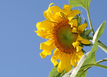 Seminar: Deine Seele in der neuen Zeit